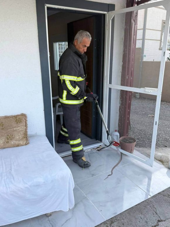 ARSUZ’DA EVE GİREN YILANI İTFAİYE YAKALADI