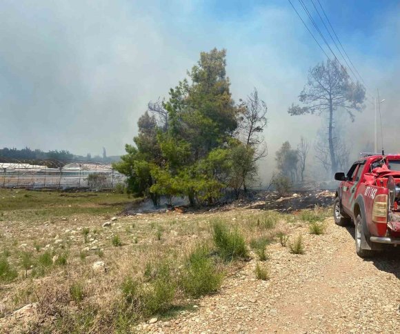 ANTALYA’DA ZİRAİ ALANDA ÇIKAN YANGIN BÜYÜMEDEN SÖNDÜRÜLDÜ