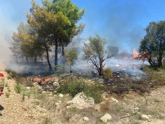 ANTALYA’DA ZİRAİ ALANDA ÇIKAN YANGIN BÜYÜMEDEN SÖNDÜRÜLDÜ