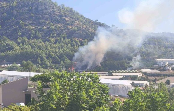 BOZYAZI’DA ORMAN YANGINI BÜYÜMEDEN SÖNDÜRÜLDÜ