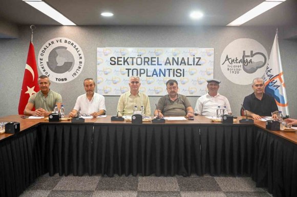 ZEYTİNDE REKOLTE BEKLENTİSİ YÜZDE 40 ARTTI
