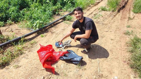 SALÇALIK BİBERİ ÖNCE HIRSIZLAR HASAT ETTİ