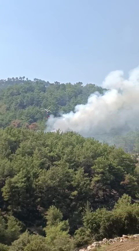 SOĞUTMA ÇALIŞMALARININ SÜRDÜĞÜ ORMANLIK ALANDA YENİDEN YANGIN ÇIKTI