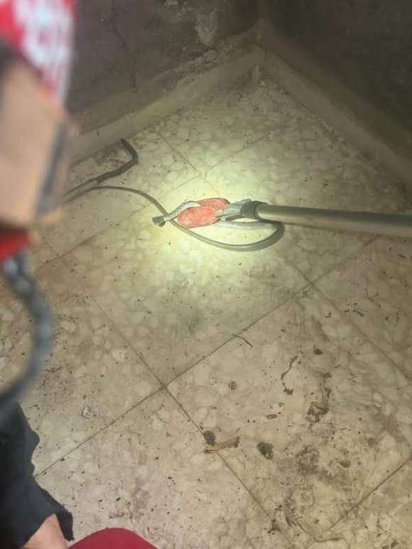 ANTAKYA’DA EVE GİREN YILAN YAKALANDI