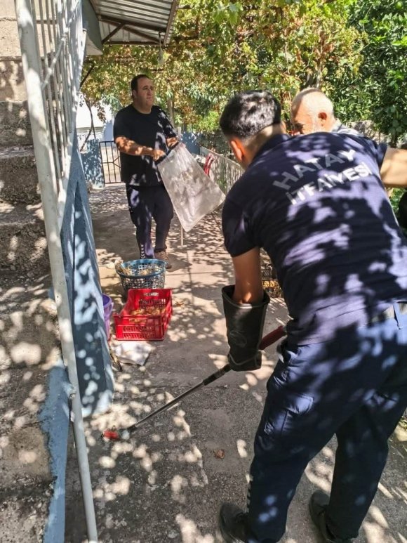 İSKENDERUN’DA EVİN İÇERİSİNDE GÖRÜLEN YILAN YAKALANDI