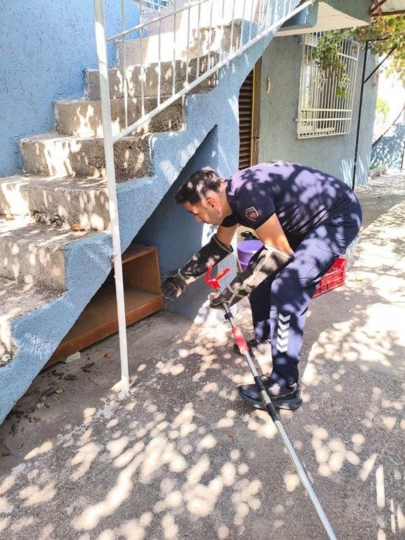 İSKENDERUN’DA EVİN İÇERİSİNDE GÖRÜLEN YILAN YAKALANDI