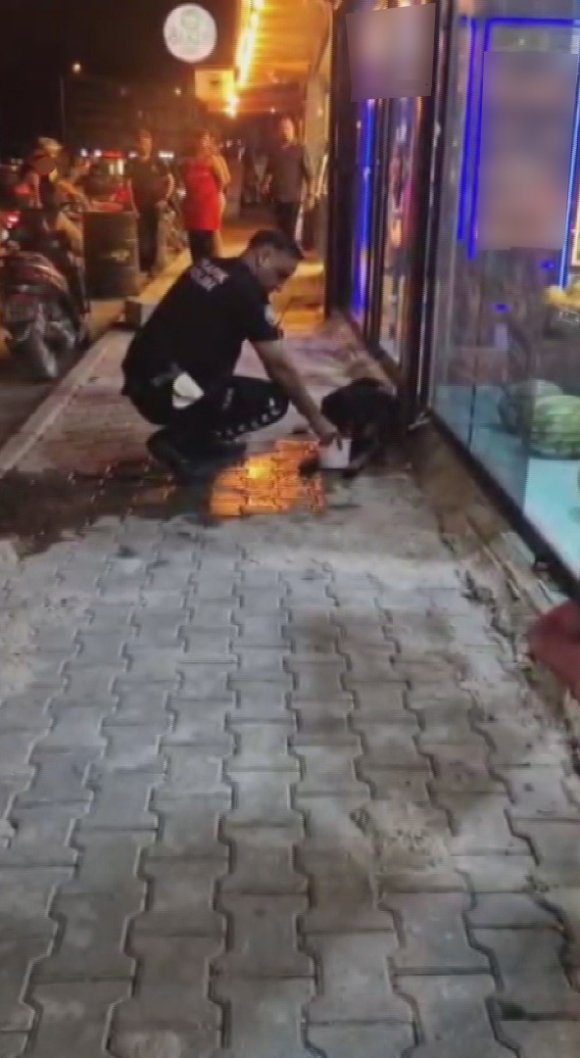 SİLAHLA VURULAN SOKAK KÖPEĞİNE POLİS EKİPLERİ SAHİP ÇIKTI