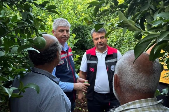 ADANA’DA DOLU VURAN TARIM ARAZİLERİNDE İNCELEMELER BAŞLADI