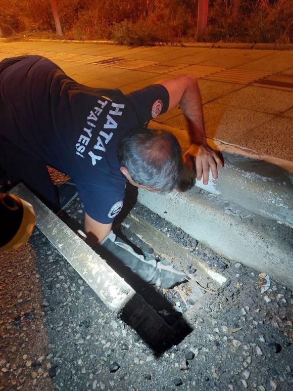 İSKENDERUN’DA MAHSUR KALAN HAYVANLAR EKİPLER TARAFINDAN KURTARILDI