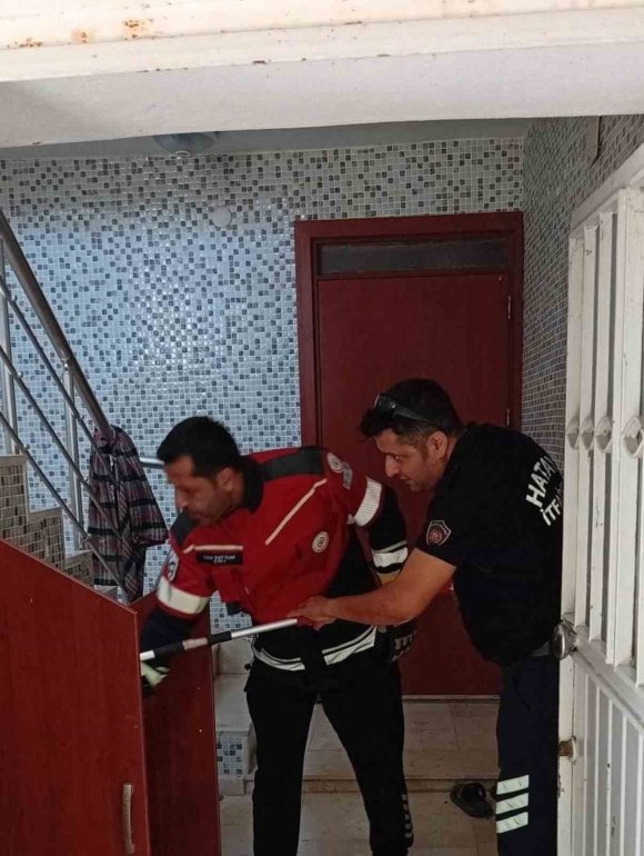 SAMANDAĞ’DA YERLEŞİM YERİNDE GÖRÜLEN YILAN YAKALANARAK DOĞAYA BIRAKILDI