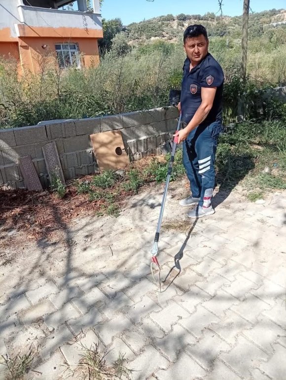 SAMANDAĞ’DA YERLEŞİM YERİNDE GÖRÜLEN YILAN YAKALANARAK DOĞAYA BIRAKILDI