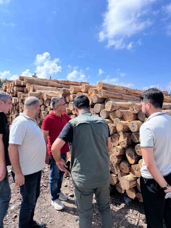 HATAY ORMAN BÖLGE MÜDÜRÜ GÜNAY, İSKENDERUN SAHİL ORMAN DEPOSU’NDA İNCELEMELERDE BULUNDU