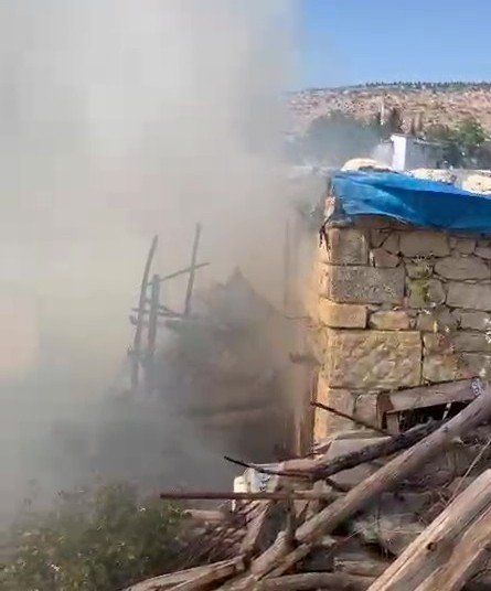 AHIR YANGININDA 5 HAYVAN TELEF OLDU