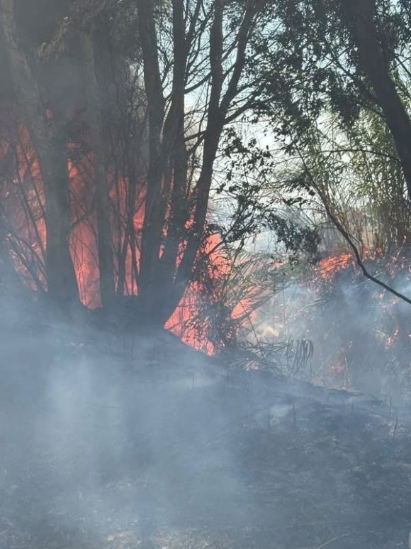 ANTAKYA’DA AĞAÇLIK VE OTLUK ALAN YANGINI BÜYÜMEDEN SÖNDÜRÜLDÜ