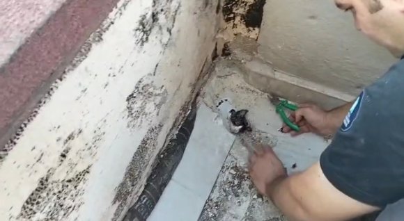 YAĞMUR SUYU GİDERİNE SIKIŞAN YAVRU KEDİYİ İTFAİYECİLER KURTARDI