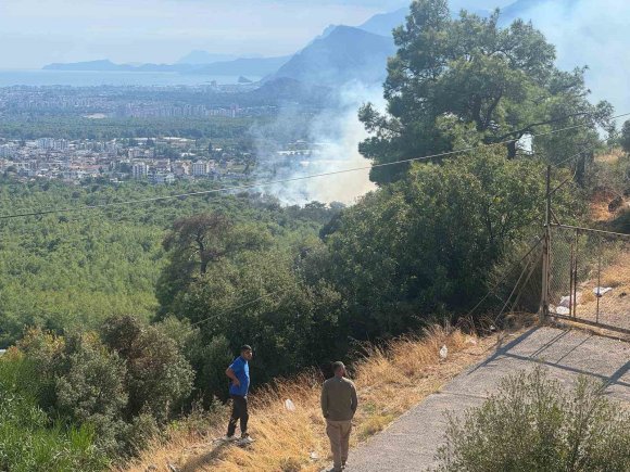 ANTALYA’DA ORMAN YANGINI