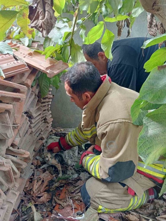 VANAYA SIKIŞARAK MAHSUR KALAN YAVRU KEDİ, İTFAİYE EKİPLERİNİN ÇALIŞMASIYLA KURTARILDI