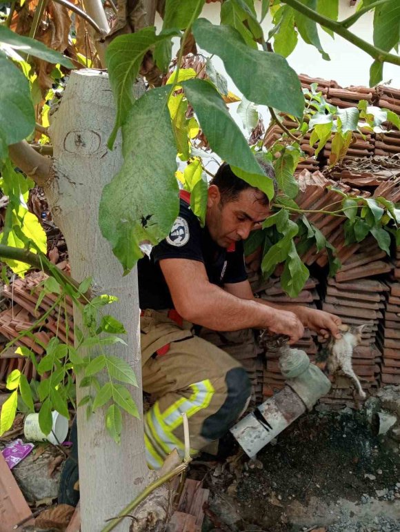 VANAYA SIKIŞARAK MAHSUR KALAN YAVRU KEDİ, İTFAİYE EKİPLERİNİN ÇALIŞMASIYLA KURTARILDI