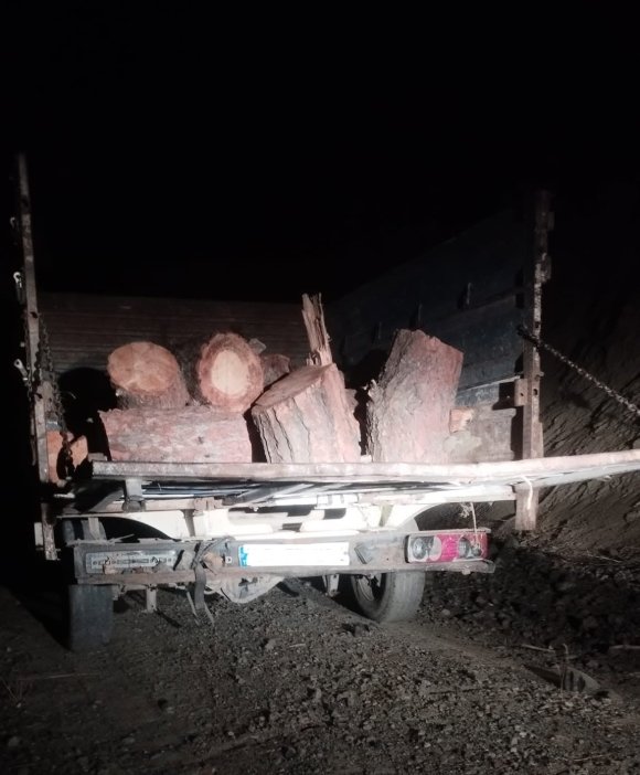 KAHRAMANMARAŞ’TA KAÇAK ORMAN EMVALİ