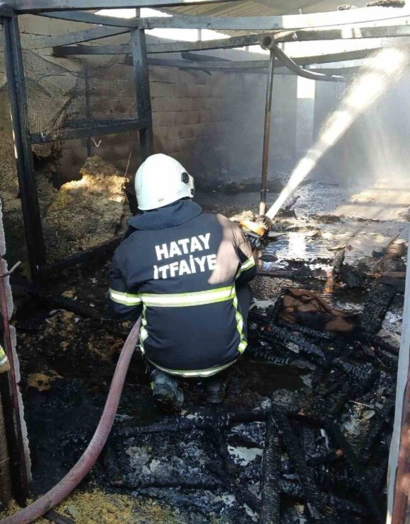 HASSA’DA EV VE AHIR YANDI