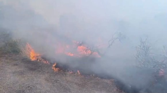 HASSA’DA ZEYTİNLİK ALAN VE ANIZ YANGINI GENİŞ ALANA YAYILMADAN SÖNDÜRÜLDÜ