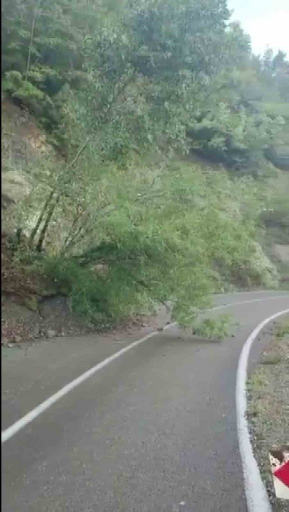 YAYLA YOLUNDA TOPRAK KAYMASI YAŞANDI