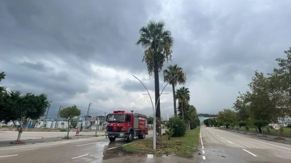 İSKENDERUN’DA YILDIRIMIN İSABET ETTİĞİ AĞAÇ YANDI