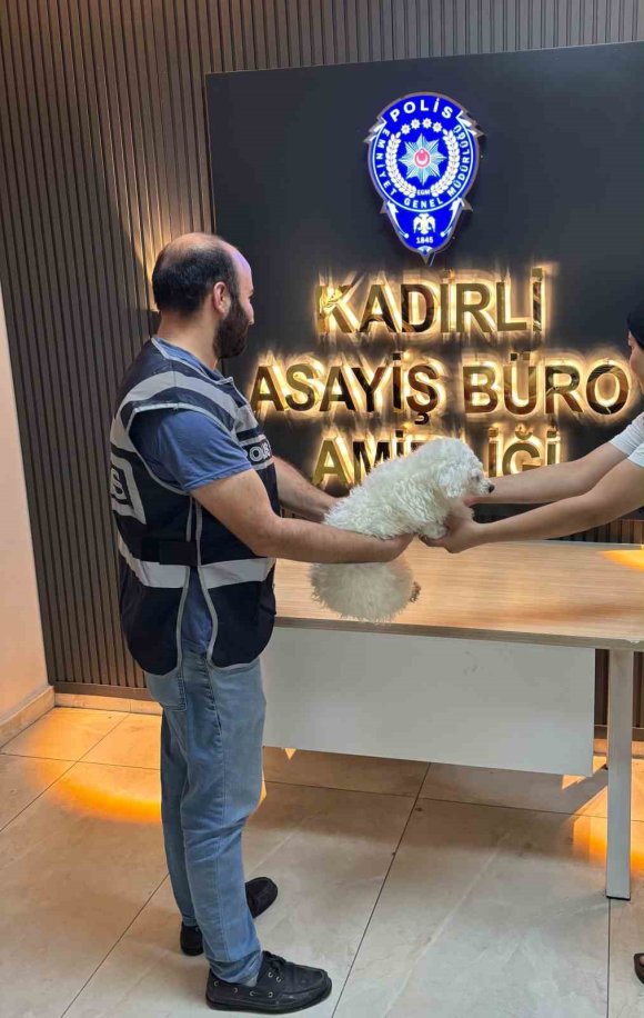MOTOSİKLETLE KOVALAYIP ÇALDIKLARI PAMUK’U POLİS BULDU