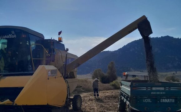 ANDIRIN’DA AYÇİÇEĞİ HASADI