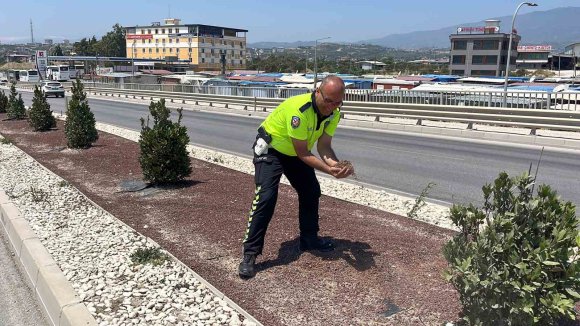 TRAFİK GÜVENLİĞİNİ SAĞLAMAK AMACIYLA YAĞ DÖKÜLEN YOLA AVUÇLARIYLA KUM TAŞIYAN POLİS TAKDİR TOPLADI