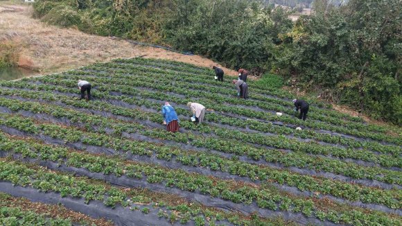 KADINLARIN EMEĞİ KAHRAMAN KADIN PLATFORMU’YLA GENİŞ KİTLELERE ULAŞIYOR
