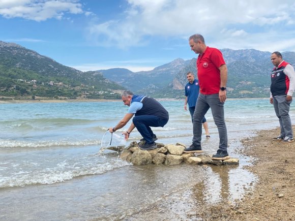 KOZAN’DA 665 BİN SAZAN YAVRUSU BARAJ VE GÖLETLERE BIRAKILDI