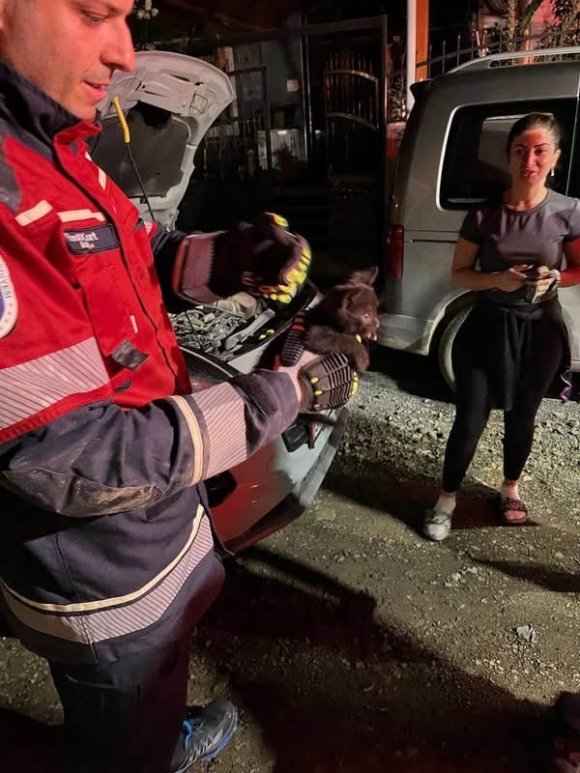 ARSUZ’DA ARACIN MOTORUNA SIKIŞAN KEDİ KURTARILDI