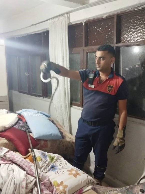 HATAY’DA YERLEŞİM YERLERİNDE GÖRÜLEN YILANLAR YAKALANARAK DOĞAL YAŞAM ALANLARINA BIRAKILDILAR