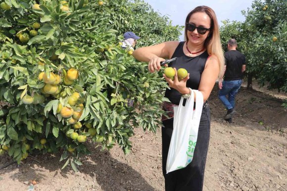 SUNAR YATIRIM’DAN LEZZET FESTİVALİ KAPSAMINDA HASAT ETKİNLİĞİ