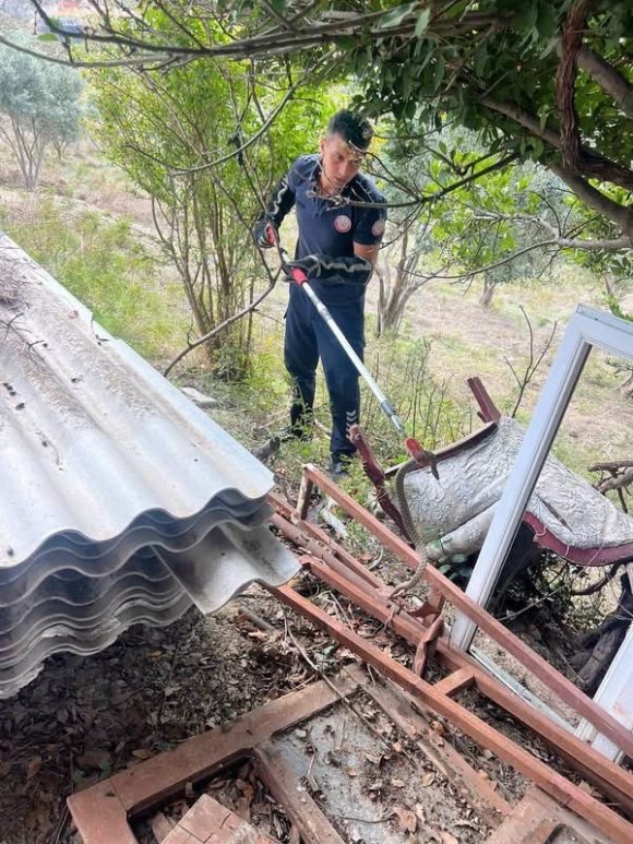 ANTAKYA’DA BAHÇEDE GÖRÜLEN YILAN DOĞAL YAŞAM ALANINA BIRAKILDI