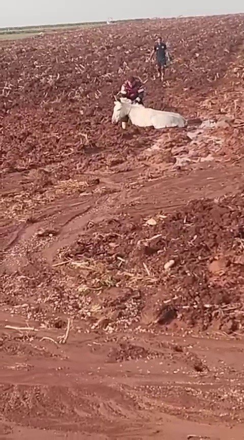 ÇAMURA SAPLANAN EŞEĞİ İTFAİYE EKİPLERİ KURTARDI