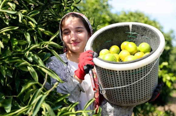 KARADENİZ’DE GEMİ TRAFİĞİ DURDU, ADANA’DA LİMON VE MANDALİNA DALINDA KALDI