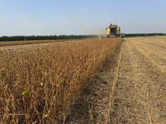 ADANA’DA SOYA HASADINDA BİÇERDÖVER ÜCRETLERİ BELİRLENDİ