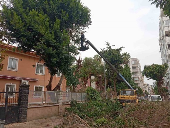 AKDENİZ’DE PARK VE YEŞİL ALANLAR YENİLENİYOR
