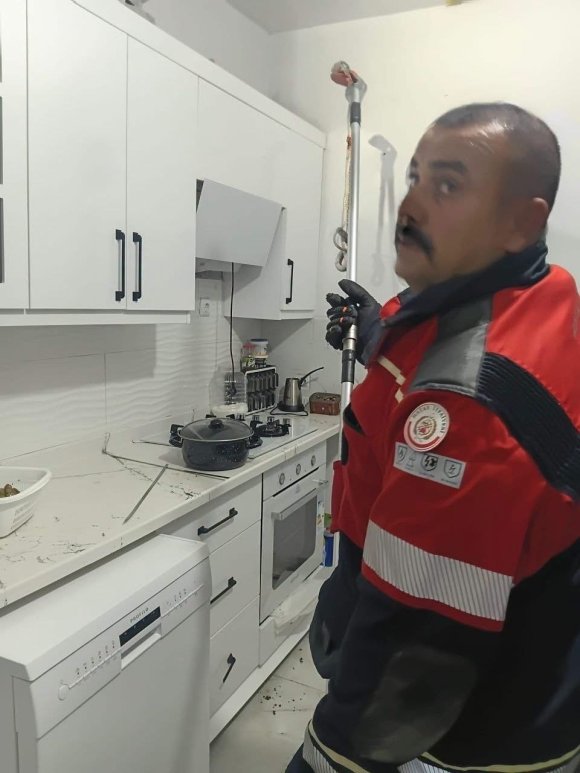 HASSA’DA EVDE GÖRÜLEN YILAN İTFAİYE EKİPLERİNCE YAKALANDI