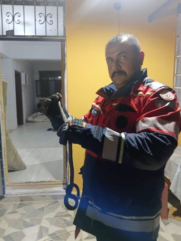 HASSA’DA EVDE GÖRÜLEN YILAN İTFAİYE EKİPLERİNCE YAKALANDI