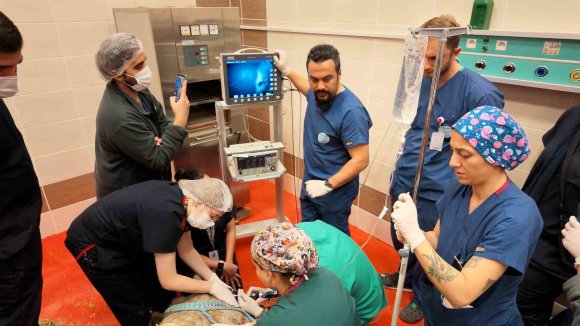 TÜRKİYE’DE İLK: RETİNA RAHATSIZLIĞI BULUNAN DEVE İÇİN KÖK HÜCRE TEDAVİ SÜRECİ BAŞLADI