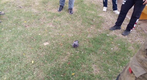 İSKENDERUN’DA AĞACA TAKILAN GÜVERCİN İTFAİYE EKİPLERİNCE KURTARILDI