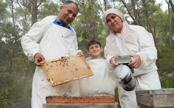 DÜNYADA ’ÇAM BALI’NIN YÜZDE 90’I TÜRKİYE’DE ÜRETİLİYOR: BEREKETLİ SAĞIM BAŞLADI