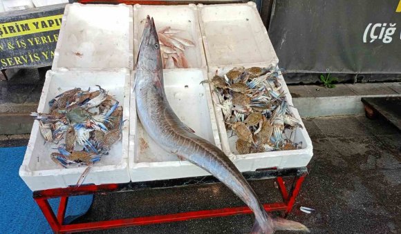 AKDENİZ’DE 12 KİLOGRAMLIK CEYLAN BALIĞI YAKALANDI