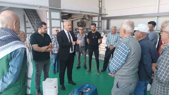 HATAY’DA KALİTELİ ZEYTİNYAĞI ÜRETİMİ İÇİN HASAT UYARISI