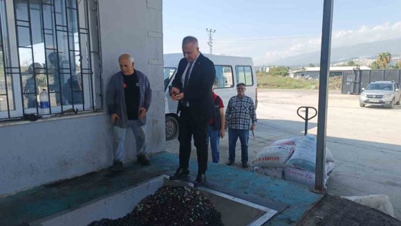 HATAY’DA KALİTELİ ZEYTİNYAĞI ÜRETİMİ İÇİN HASAT UYARISI