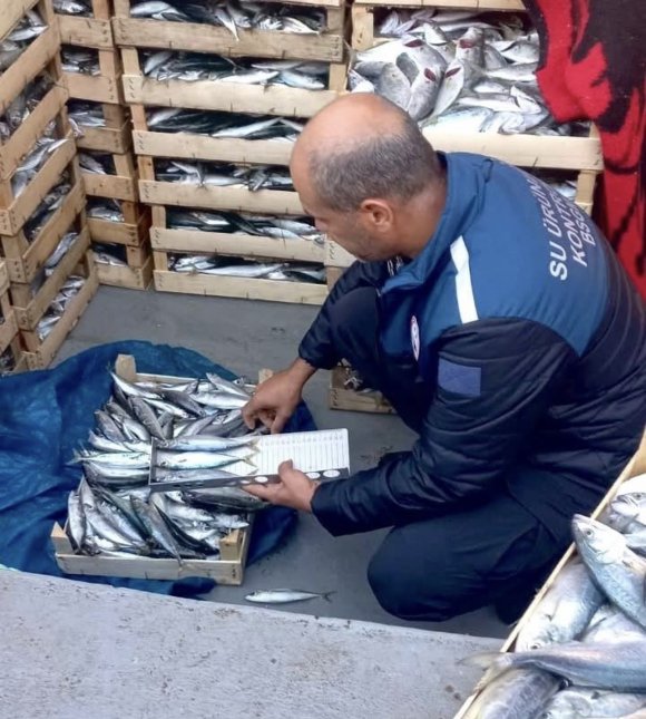 MERSİN’DE YASA DIŞI BALIK AVCILIĞINA KARŞI DENETİMLER SÜRÜYOR