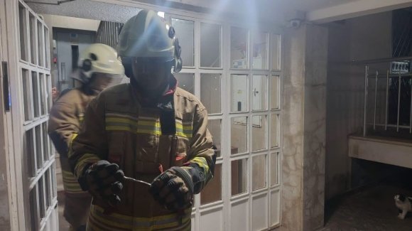 İSKENDERUN’DA YERLEŞİM YERİNDE GÖRÜLEN YILAN YAKALANARAK DOĞAYA BIRAKILDI